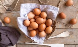 аллергия на яйца